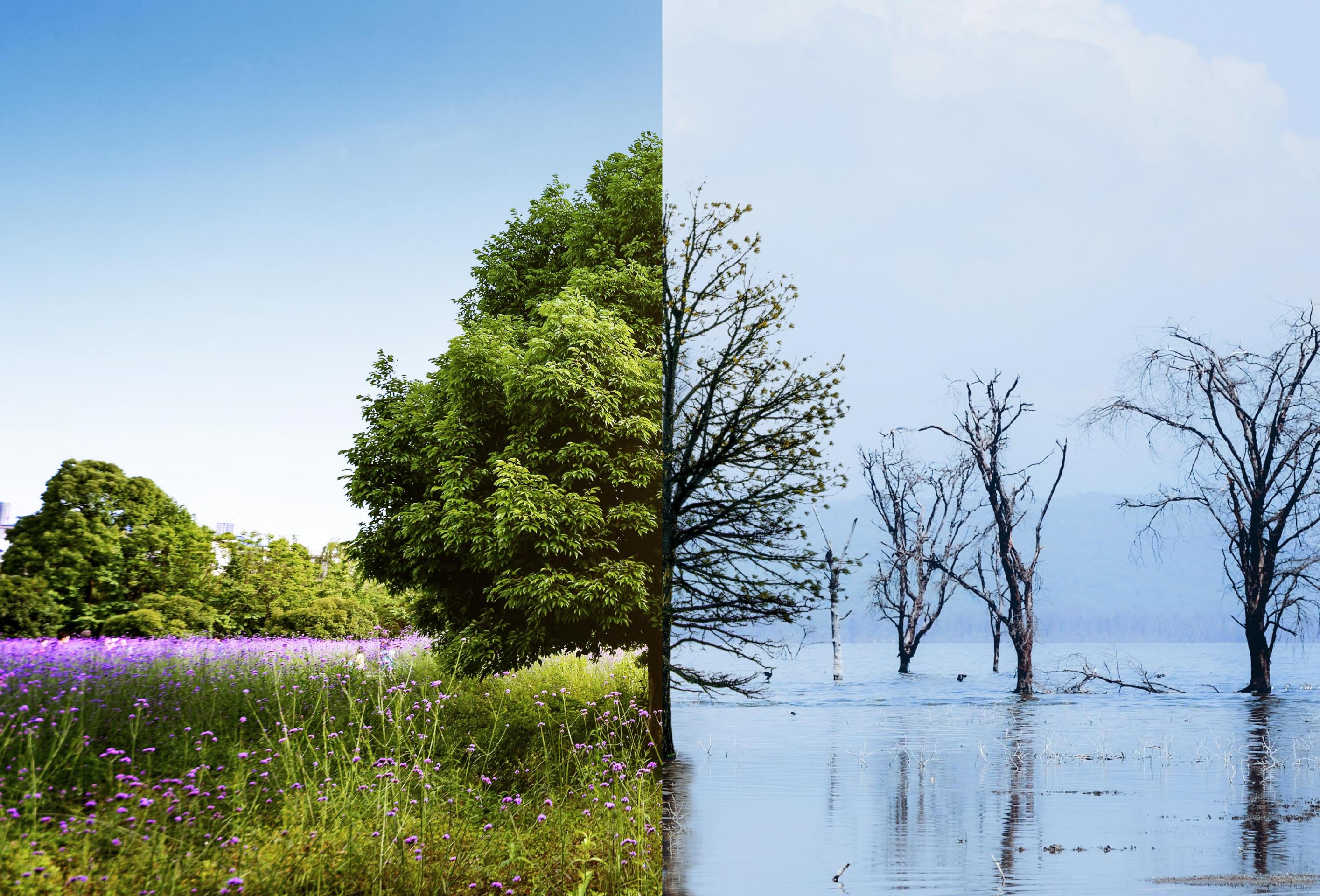 2025 Climate Startup Prize 