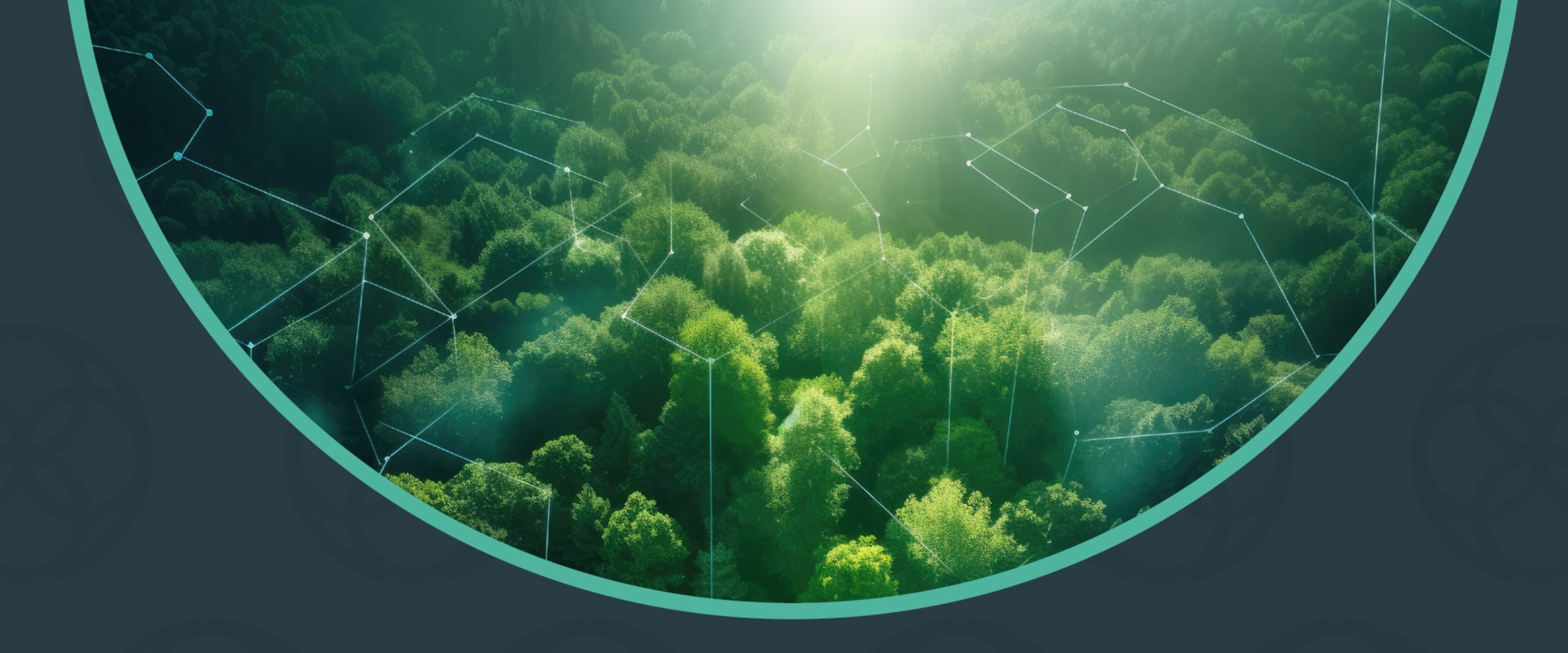 Climate Solutions Prize | The Climate Solutions Prize is an unparalleled competition designed to inspire researchers and organizations with funding to fight the climate crisis.